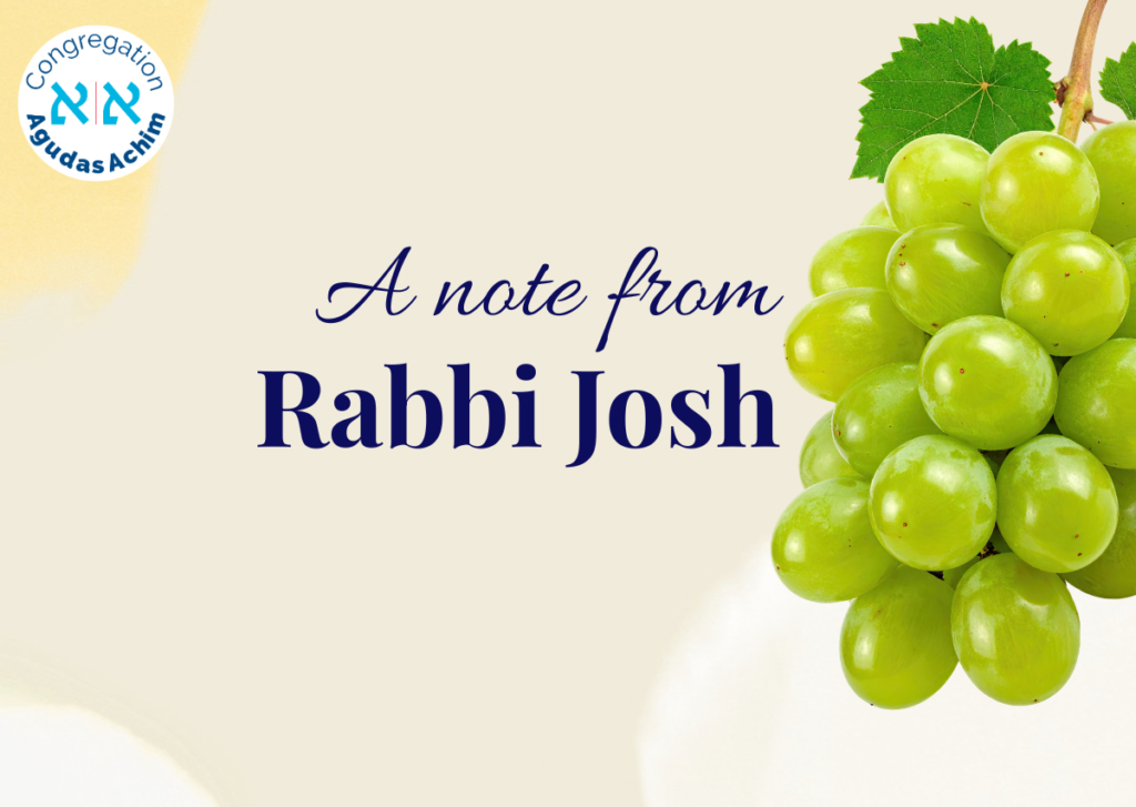 A Note from Rabbi Josh 2